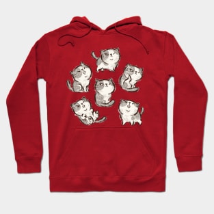 Six Impudent cats Hoodie